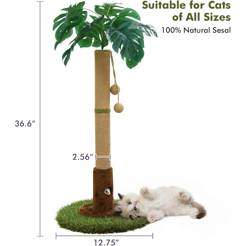 Poteau à griffer pour chat avec corde en sisal, poteau à griffes pour chat avec boule suspendue, poteau à griffer avec jouets pour chat