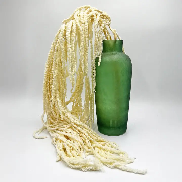 Modern Art Preserved Amaranth Stems, White