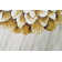 Rakhi Floral Indoor Rug