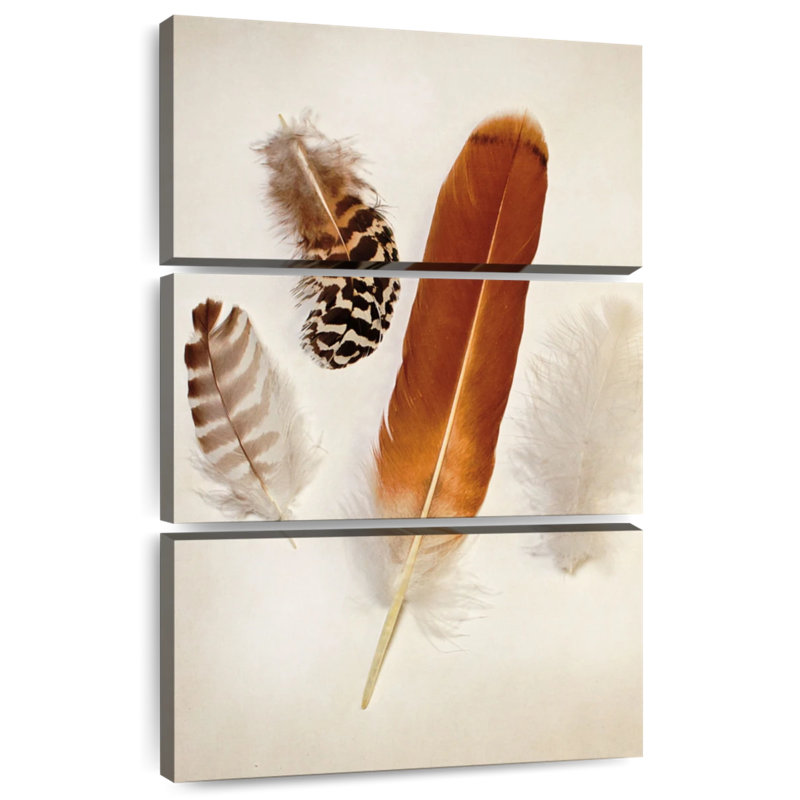 Kerner Feather Group I, H 57 po x l 36 po