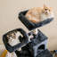 Grand condo 64 "pour chat-827456026-848029376