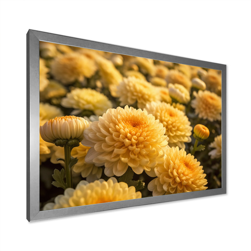 «Yellow Chrysanthemums Field» sur impression sur toile, H 12 po x l 20 po x P 1 po, Cadre simple argenté