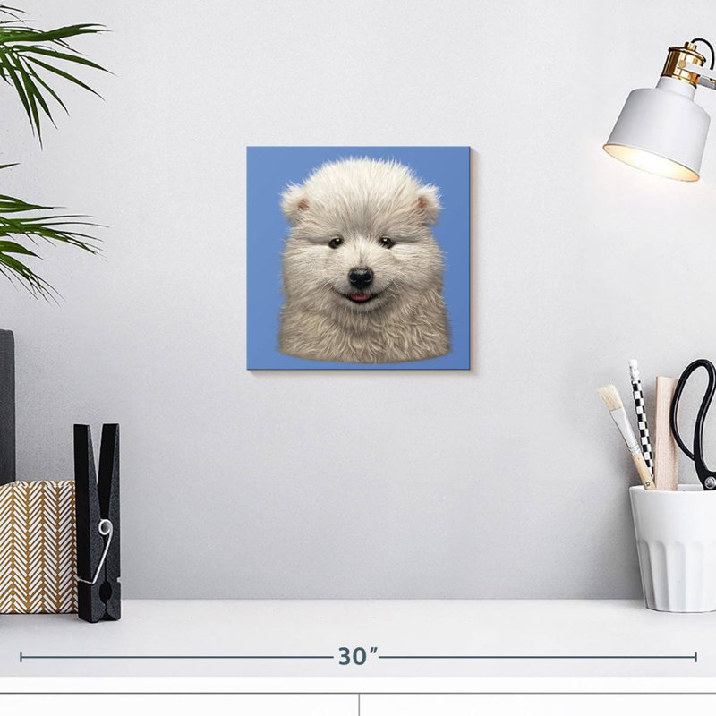 Brampt Samoyed Puppy
