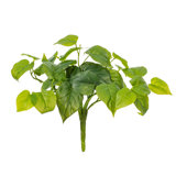  14" Green Artificial Pothos Bush, 2 Per Bag