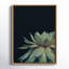«Succulent 8» par Emiko et Mark Franzen, reproduction d'art sur toile encadrée-530826224-474696414