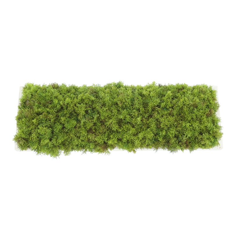 Moss Arrangement In Wood Dough Bowl