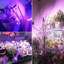 Maker Network Grow Light