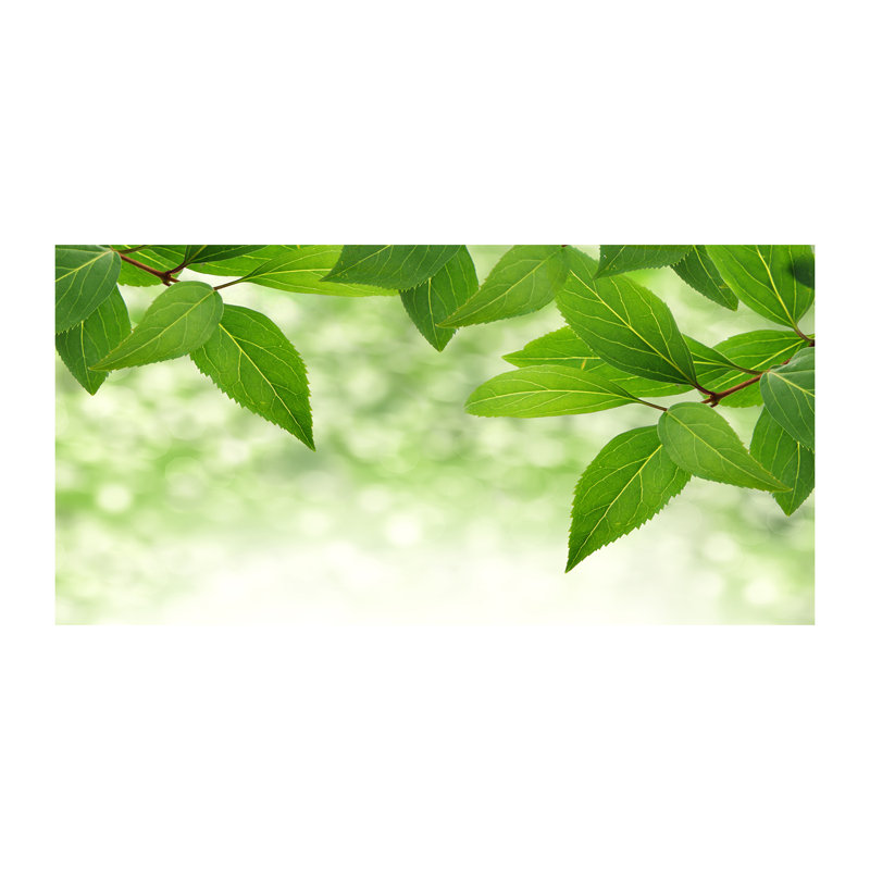 Linhares 50cm W x 100cm L Glass Peel and Stick Panel