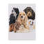 «Cocker Spaniel» par Adelphi, reproduction de peinture à l'huile sur toile tendue-26112389