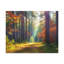 No Frame Print on Canvas-1949104398