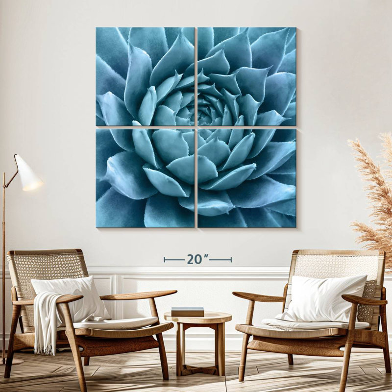 Agave bleu argenté Harnek