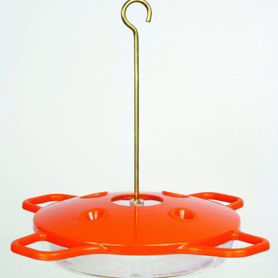 Mangeoire oriole hummingbird