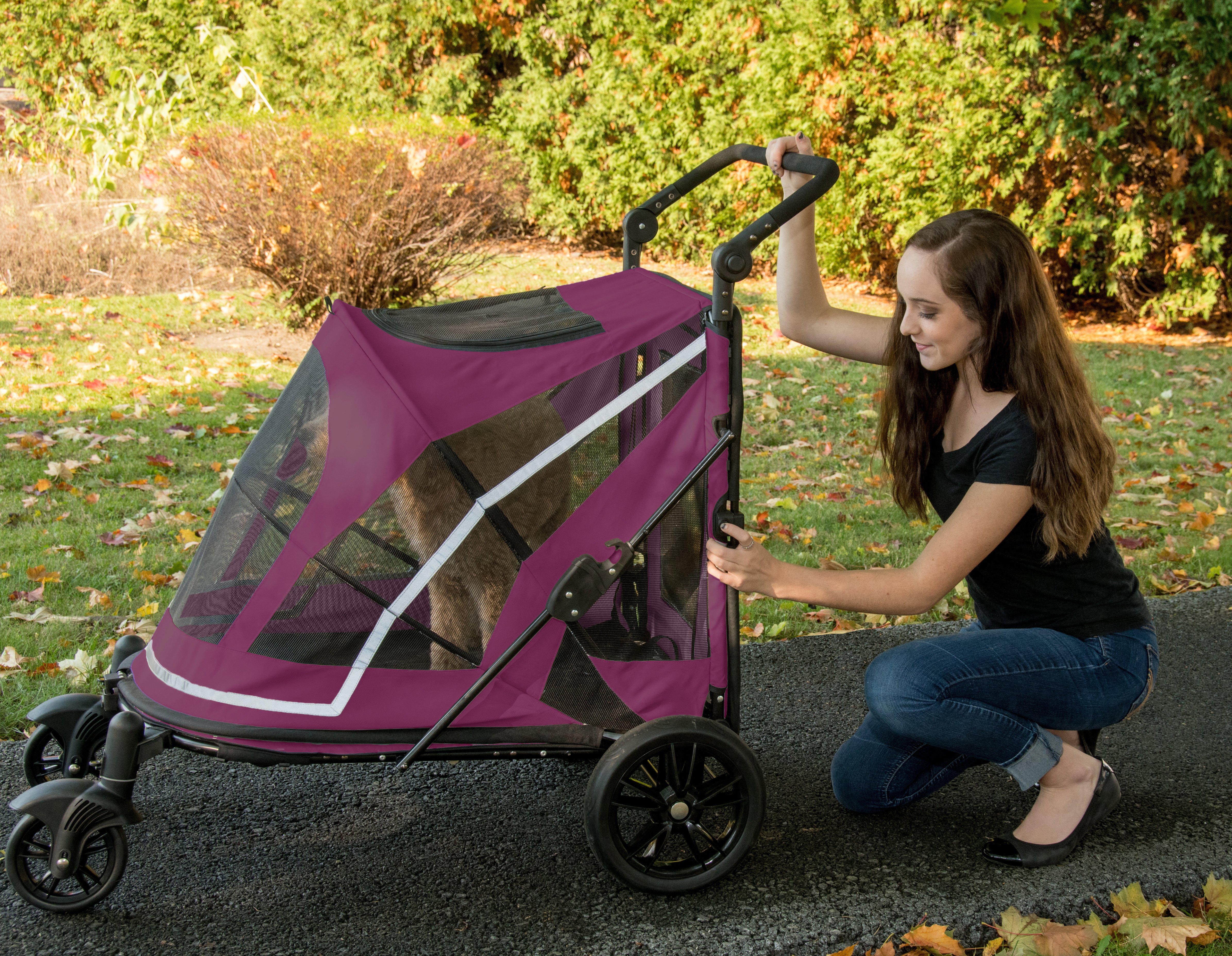 Pet Gear Expedition No Zip Standard Stroller Reviews Wayfair