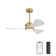 Boun 42'' Ceiling Fan with LED Lights