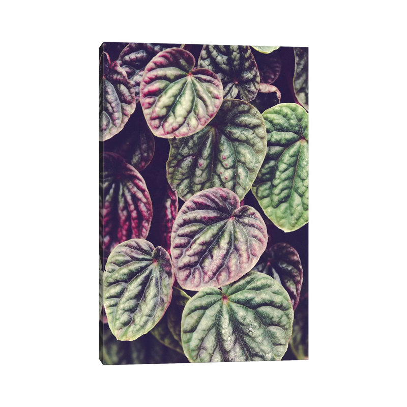 Heart Leaves 1 Piece Wrapped Canvas Wall Art, 101.6 cm H x 66.04 cm W x 1.91 cm D