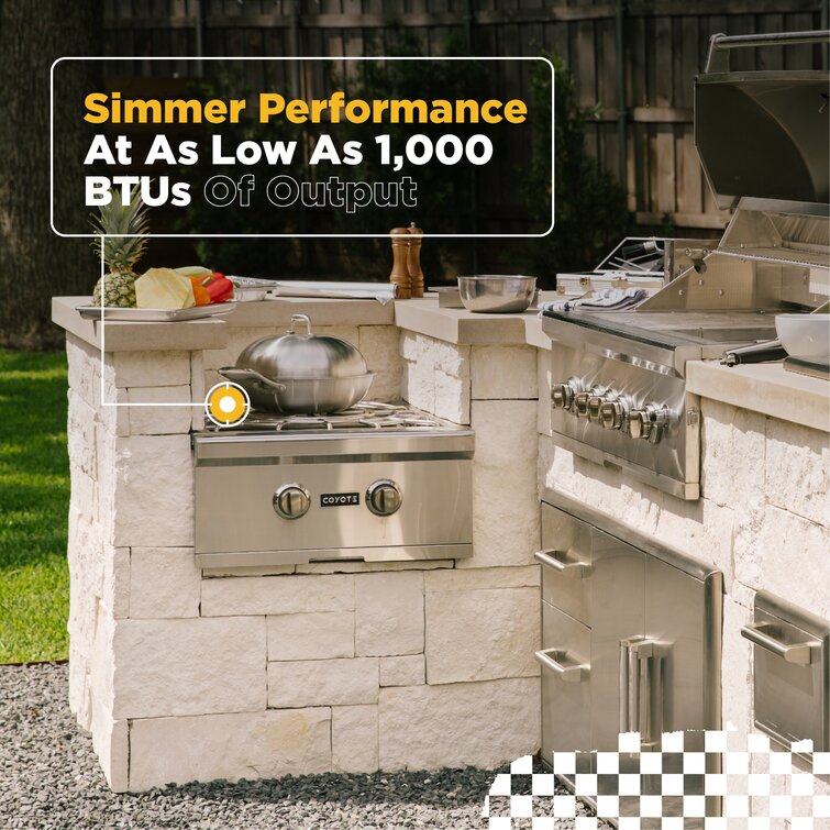 https://assets.wfcdn.com/im/12487444/resize-h755-w755%5Ecompr-r85/1394/139499800/Coyote+Grills+Single+Burner+Built-In+Natural+Gas+Gas+Grill+with+Side+Burner.jpg