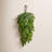 26" Real Touch Noble Fir Teardrop