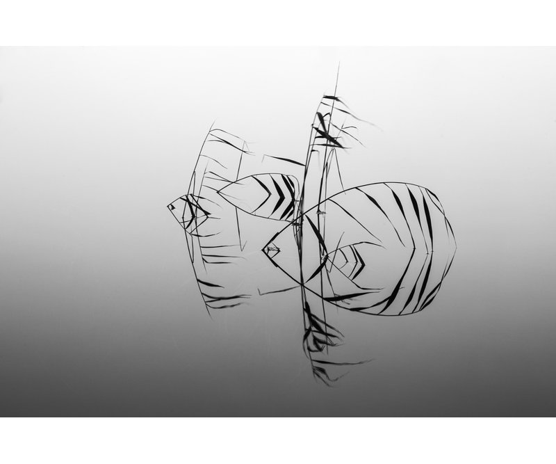 Wrapped Canvas Print, 81.28 cm H x 121.92 cm W