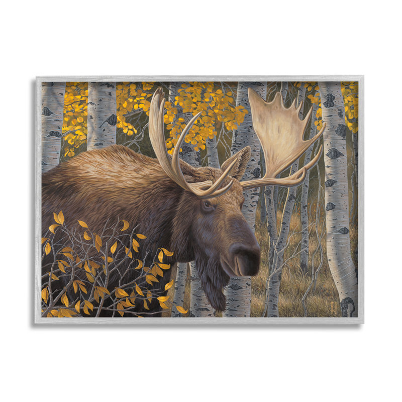 «Moose In Fall Foliage» par Jeff Hoff, H 16 po x l 20 po x P 1,5 po, Estampe numérique Farmhouse