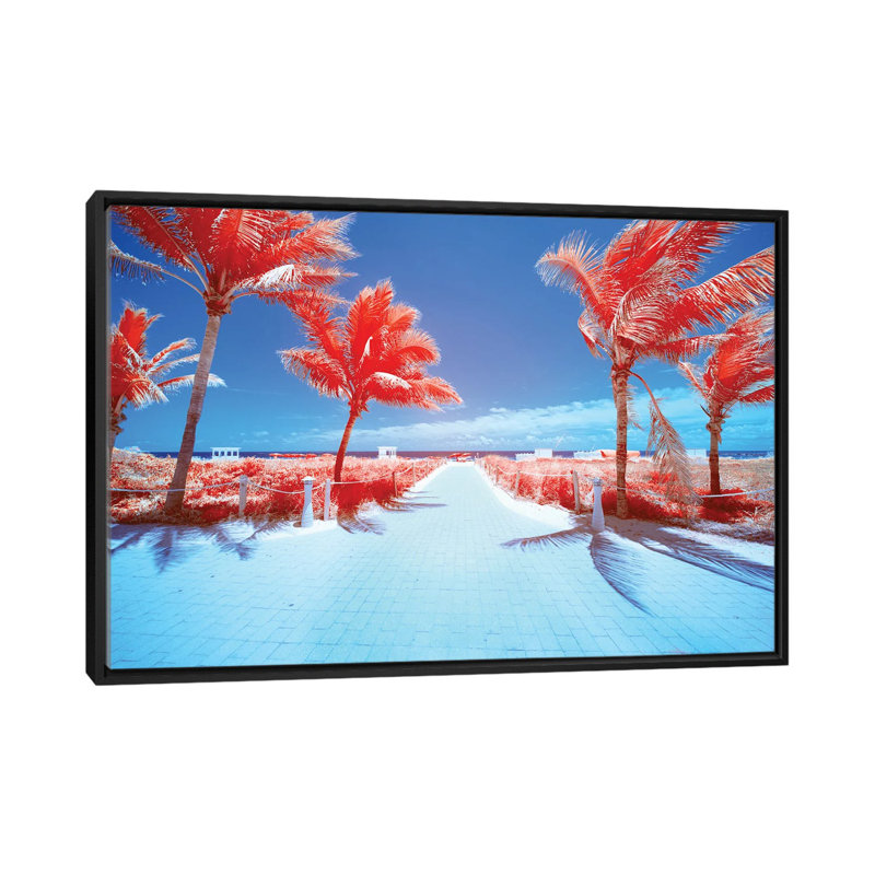 Palm Tree III by Glauco Meneghelli - Floater Frame Print on Canvas