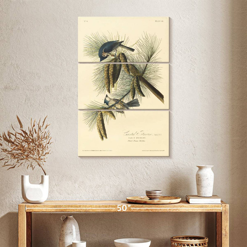 Brampt Crested Titmouse, 38" H x 24" W