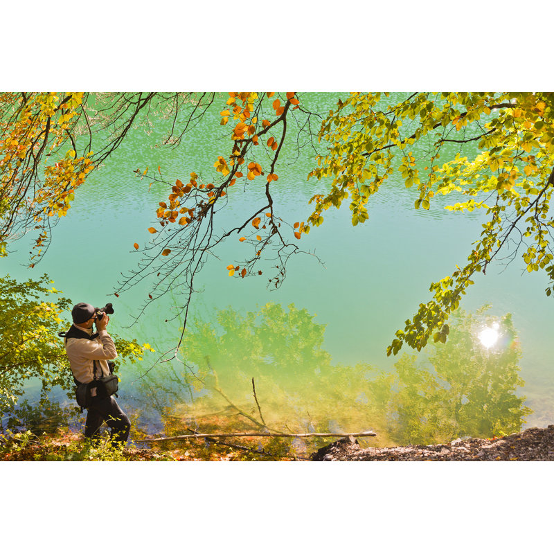 Photographie de couleurs d'automne par Orietta Gaspari, H 20 po x l 30 po