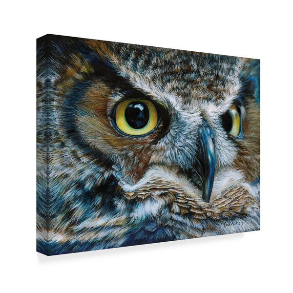 World Menagerie 'Dark Owl' Acrylic Painting Print on Wrapped Canvas ...
