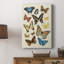 Collection Flutter II - galerie Cavas sur mesure-676516052