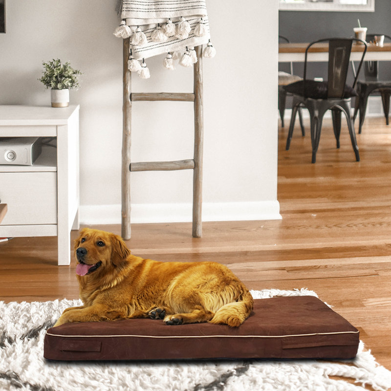 Tapis mémoire Johnone, l 46 po x p 28 po x H 4 po, Sac