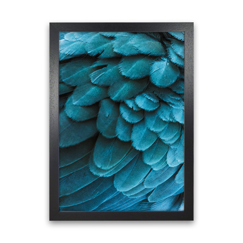 Blue Feathers 1 Piece Wall Art, 63cm H x 46cm W x 3cm D, Black Framed