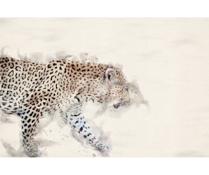 Wrapped Canvas Print, 50.8 cm H x 76.2 cm W