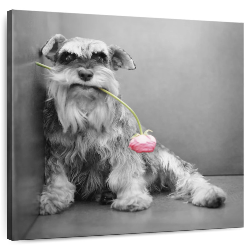 Brampt Ziggy BW, 30" H x 30" W