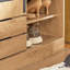 6 Pair Shoe Bench-1985281329