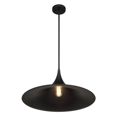 Bowdin 1-Light Hubbs in Matte Black