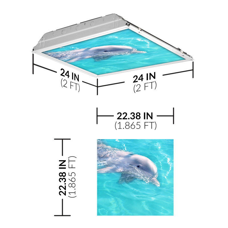 Ocean Rectangle Fixture Component Ceiling Light