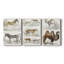 Journal of Natural History I  -Custom Wrapped Gallery Canvas - 3 Pieces-1473206254