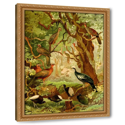 Cujubi, JacÃºs, AracuÃ£s, JacamÃ­ns (1900-1906)