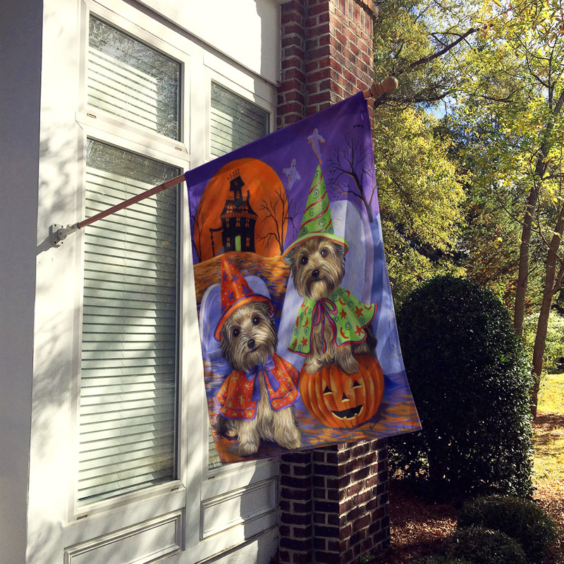 Drapeau de maison Hvidovre Sheltie Halloween en polyester à 2 faces 3 x 2 pi, Yorkshire terrier maisons hantée - Halloween