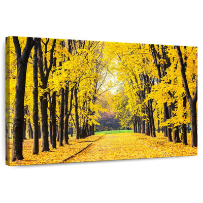 Sireci Autumn Park Foliage