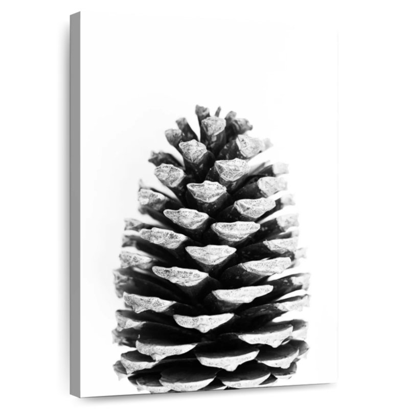 Harnek Pine Cone BW, 12" H x 8" W