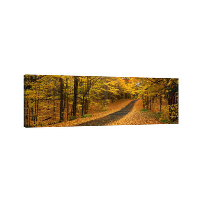 Autumn Road, Emery Park, New York State, USA - Wrapped Canvas Panoramic Print