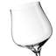 Craft Brew Hybrid Glass-866095325