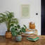 Seagrass Indoor Seagrass Lined Basket Planter-1076436668