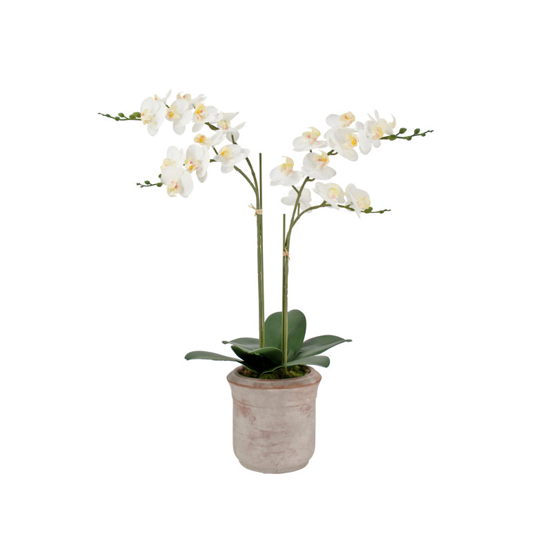 POT À 2 TIGES FLORAL, Blanc