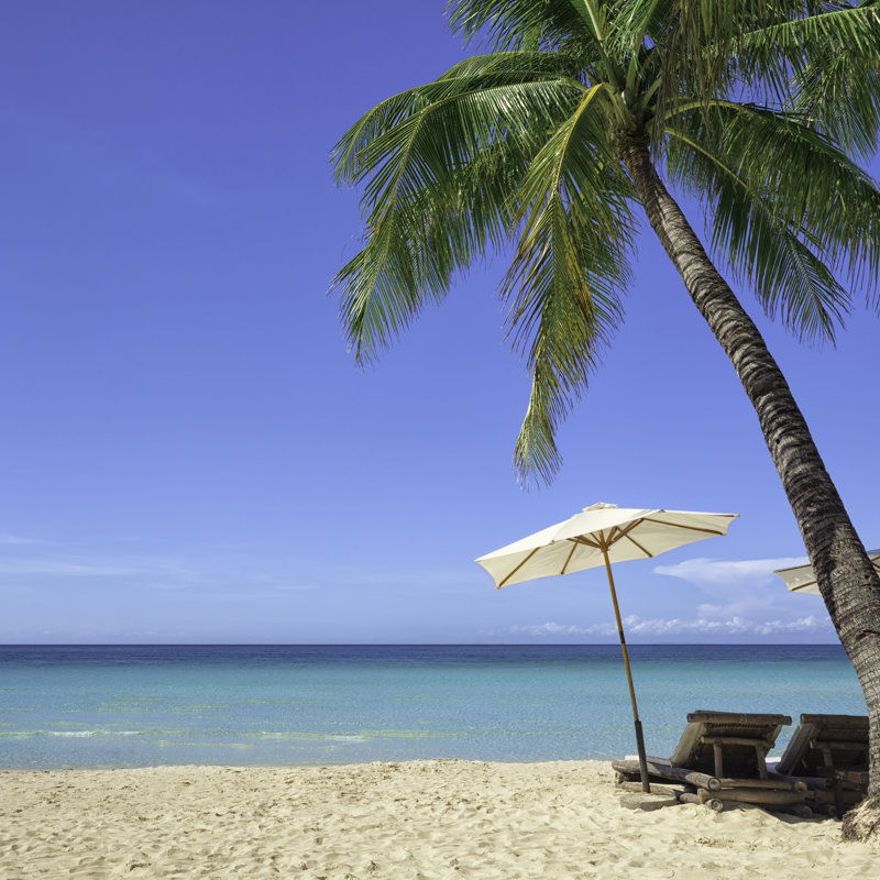 Tropical Beach By The Sea by LordRunar - No Frame Art Prints on Canvas, 51cm H x 51cm W