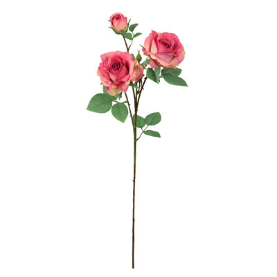 Fleur de sucre en aérosol