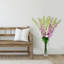 Tiges Delphinium-86731932