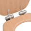 Zierikzee Soft Close Elongated Standard Toilet Seat