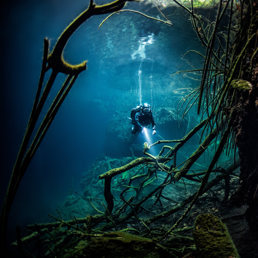 Äste im Wasser von EXTREME-GRAPHER - Leinwandbild