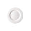 Porcelain Dinner Plate